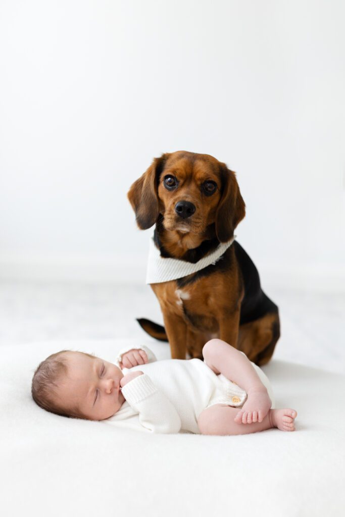 baby and puppy photography Melbourne 